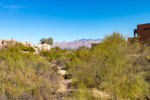 528 S Stephanie Loop, Tucson, AZ 85745 photo 13