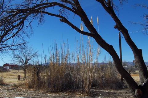 1409 N Joe Hines Rd, Willcox, AZ 85643 photo 12