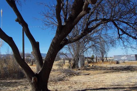 1409 N Joe Hines Rd, Willcox, AZ 85643 photo 14