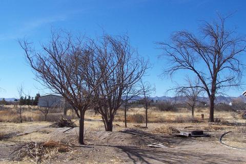 1409 N Joe Hines Rd, Willcox, AZ 85643 photo 13