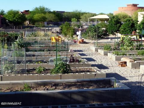 10577 E John Mcnair Pl, Tucson, AZ 85747 photo 43