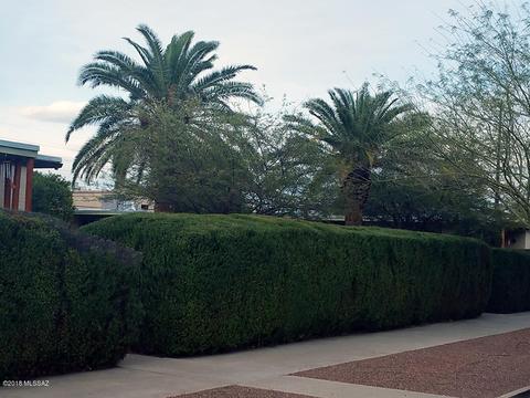 3003 E 17th St, Tucson, AZ 85716 photo 6