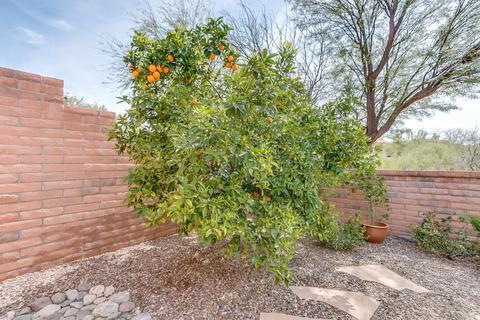 6854 E Via Vigna, Tucson, AZ 85750 photo 33