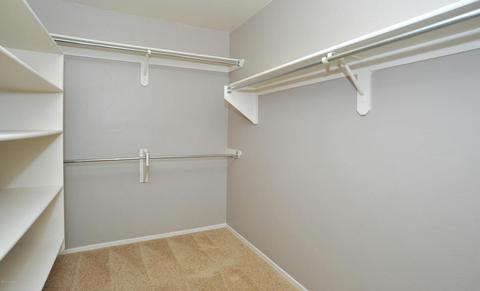 12917 E Red Iron Trl, Vail, AZ 85641 photo 18