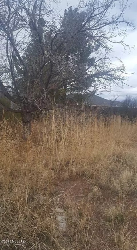 101 Boras Ave, Bisbee, AZ 85603 photo 5