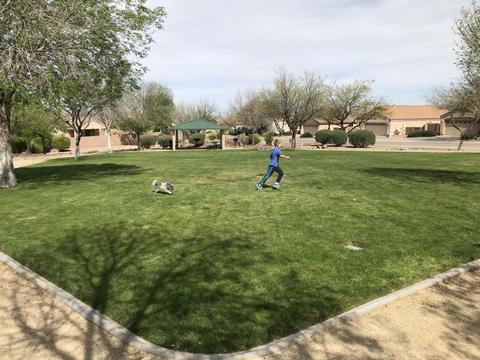 281 E Creosote Draw Rd, Vail, AZ 85641 photo 26