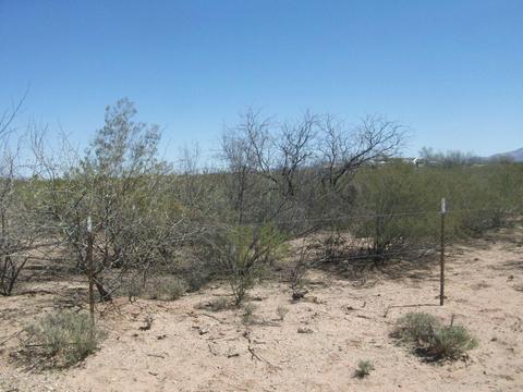 5420 E Mouse Trl, Tucson, AZ 85756 photo 8