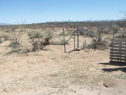 5420 E Mouse Trl, Tucson, AZ 85756 photo 6