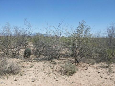 5420 E Mouse Trl, Tucson, AZ 85756 photo 7