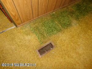 621 E Lake Dr, Benson, AZ 85602 photo 21