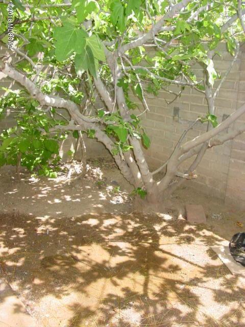 3848 E 32nd St, Tucson, AZ 85713 photo 9