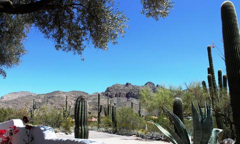 2500 E Ina Rd, Tucson, AZ 85718 photo 29