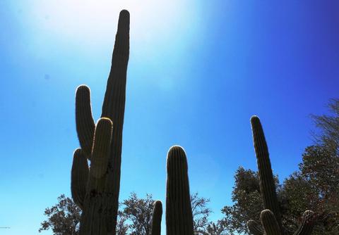 2500 E Ina Rd, Tucson, AZ 85718 photo 28