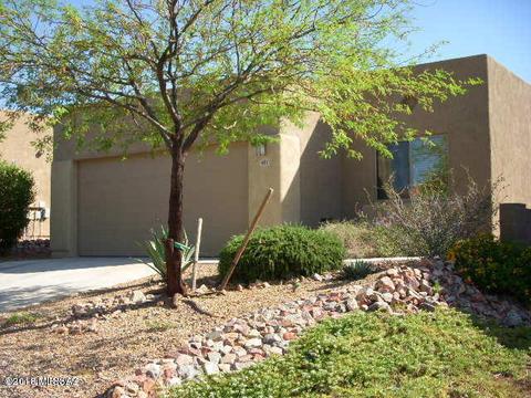 482 E Cactus Mountain Dr, Vail, AZ 85641 photo 2