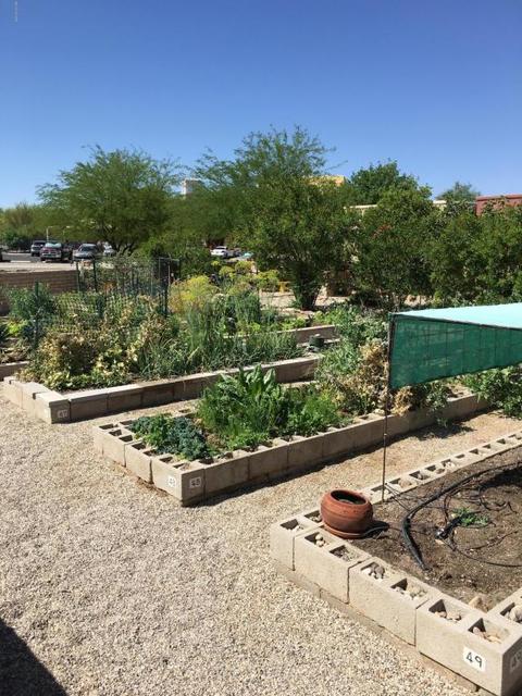 10378 E Wayne Moody Ln, Tucson, AZ 85747 photo 17
