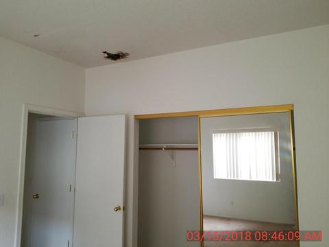 9008 E Ironbark St, Tucson, AZ 85747 photo 15