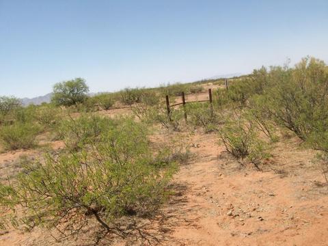 1088 E Pearce Rd, Pearce, AZ 85625 photo 11
