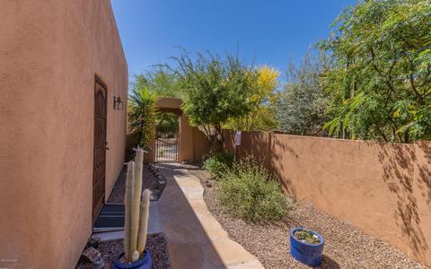 10366 E Cele Peterson Ln, Tucson, AZ 85747 photo 30