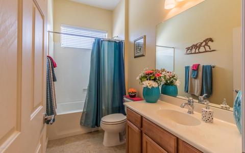 14115 E Anacapa Dr, Vail, AZ 85641 photo 16