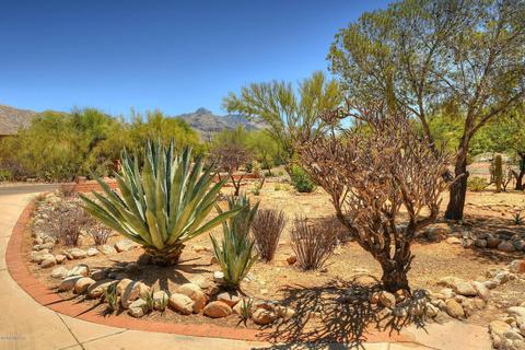 70 E Calle Cinco Vecinos, Tucson, AZ 85704 photo 3
