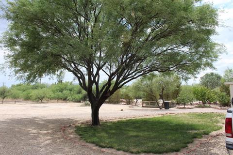 1205 E Morris Ln, Benson, AZ 85602 photo 37