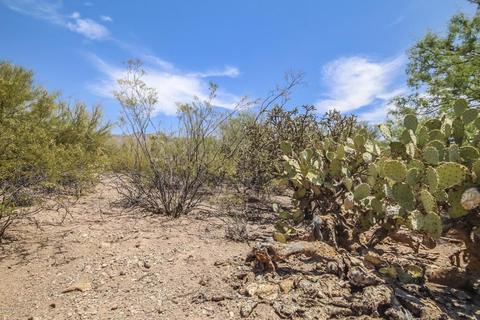11331 E Ammon Pl, Tucson, AZ 85749 photo 35