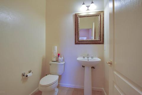 10540 S Coyote Melon Loop, Vail, AZ 85641 photo 16
