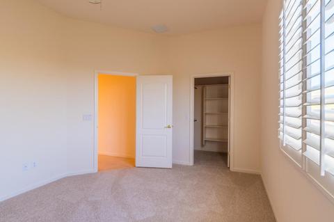 10540 S Coyote Melon Loop, Vail, AZ 85641 photo 29