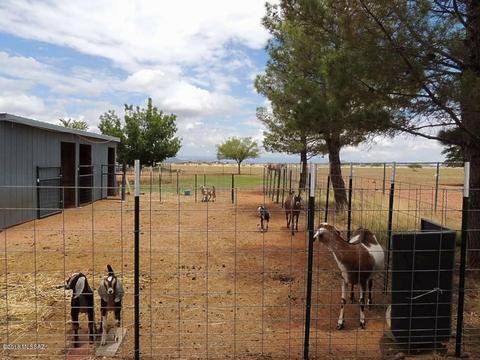 260 N Desert Rd, Pearce, AZ 85625 photo 46