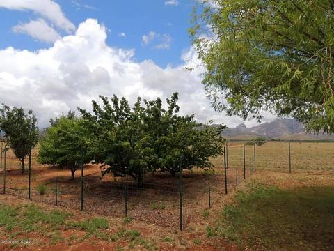 260 N Desert Rd, Pearce, AZ 85625 photo 14