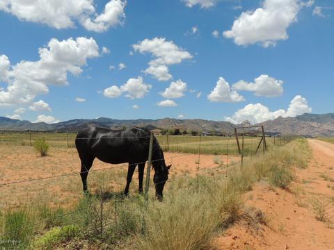 260 N Desert Rd, Pearce, AZ 85625 photo 3