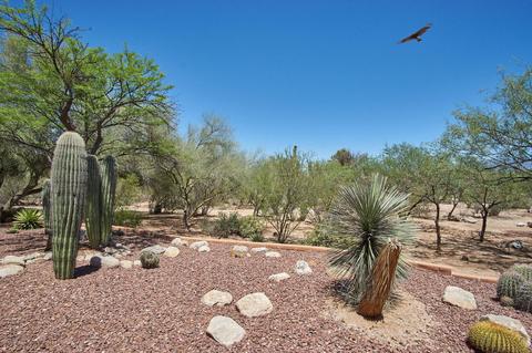 9437 E Wasatch Pl, Tucson, AZ 85749 photo 14