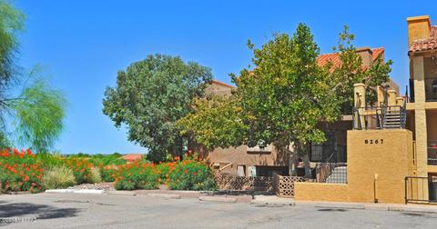 8263 N Oracle Rd #237, Tucson, AZ 85704 photo 1