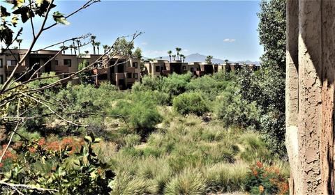 8263 N Oracle Rd #237, Tucson, AZ 85704 photo 12