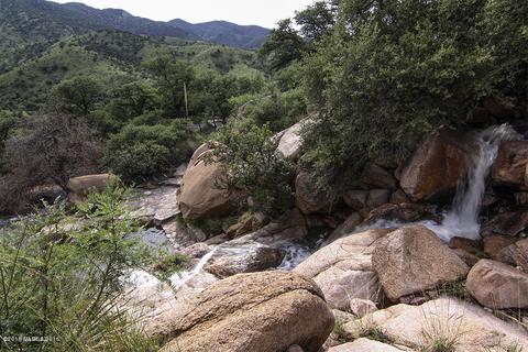 3204 W Highway 80, Bisbee, AZ 85603 photo 42
