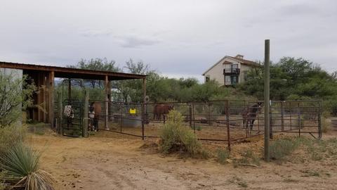 1643 N Cascabel Rd, Benson, AZ 85602 photo 49