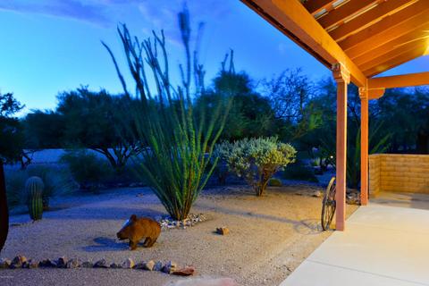 10585 E Maldonado Pl, Tucson, AZ 85747 photo 28