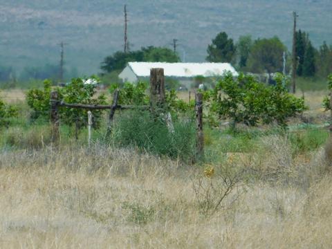 1845 N Taylor Rd, Willcox, AZ 85643 photo 41