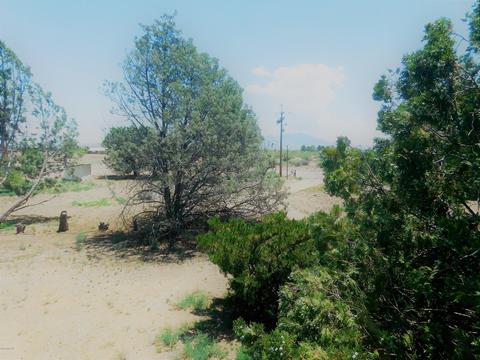 1845 N Taylor Rd, Willcox, AZ 85643 photo 36