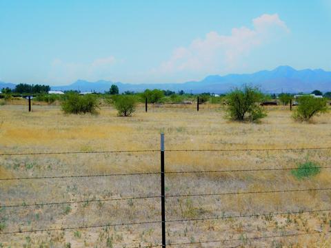 1845 N Taylor Rd, Willcox, AZ 85643 photo 39