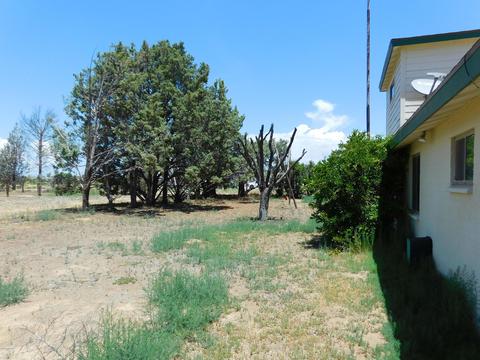 1845 N Taylor Rd, Willcox, AZ 85643 photo 33