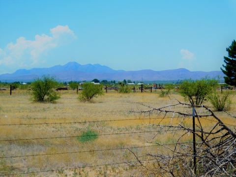 1845 N Taylor Rd, Willcox, AZ 85643 photo 40