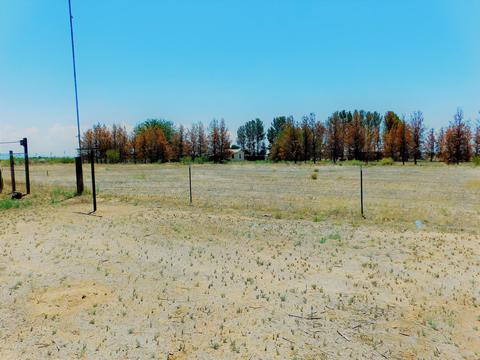 1845 N Taylor Rd, Willcox, AZ 85643 photo 42