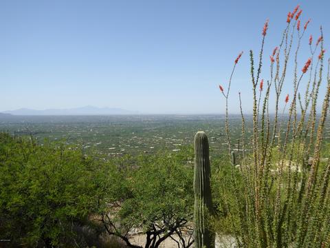 12230 E Quesada Pl, Tucson, AZ 85749 photo 44