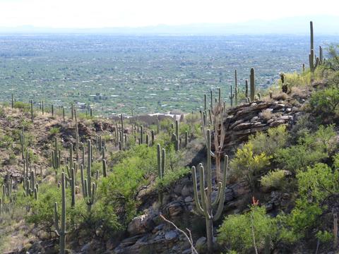 12230 E Quesada Pl, Tucson, AZ 85749 photo 41