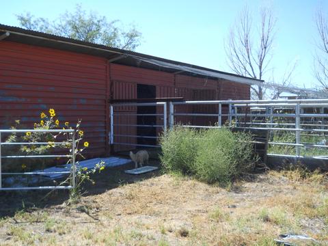 255 N Quail Dr, Willcox, AZ 85643 photo 28