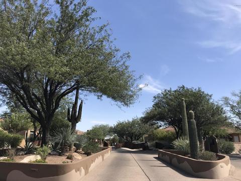 4374 E Pinnacle Ridge Pl, Tucson, AZ 85718 photo 36
