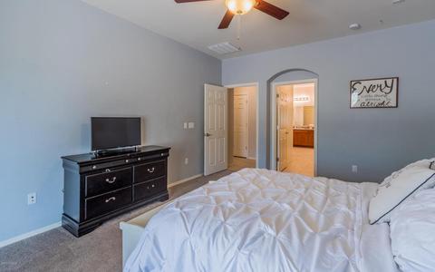 17526 S Garden Sage Loop, Vail, AZ 85641 photo 14