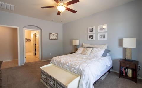 17526 S Garden Sage Loop, Vail, AZ 85641 photo 13