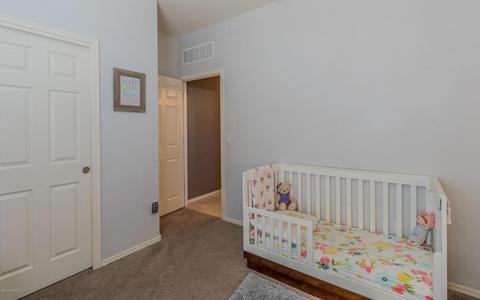 17526 S Garden Sage Loop, Vail, AZ 85641 photo 24